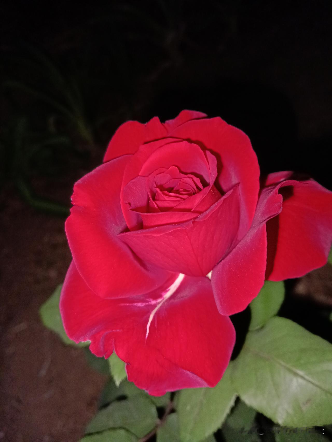 五一最佳的养生方式：​一号：在家睡觉，补气养心​二号：在家睡觉，安神静心​