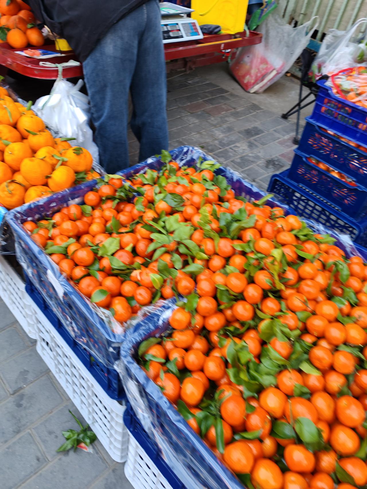 沙糖桔遭遇滑铁卢2月11日，坐标西安。今天早上我在市场溜达了一圈，才明白为啥这