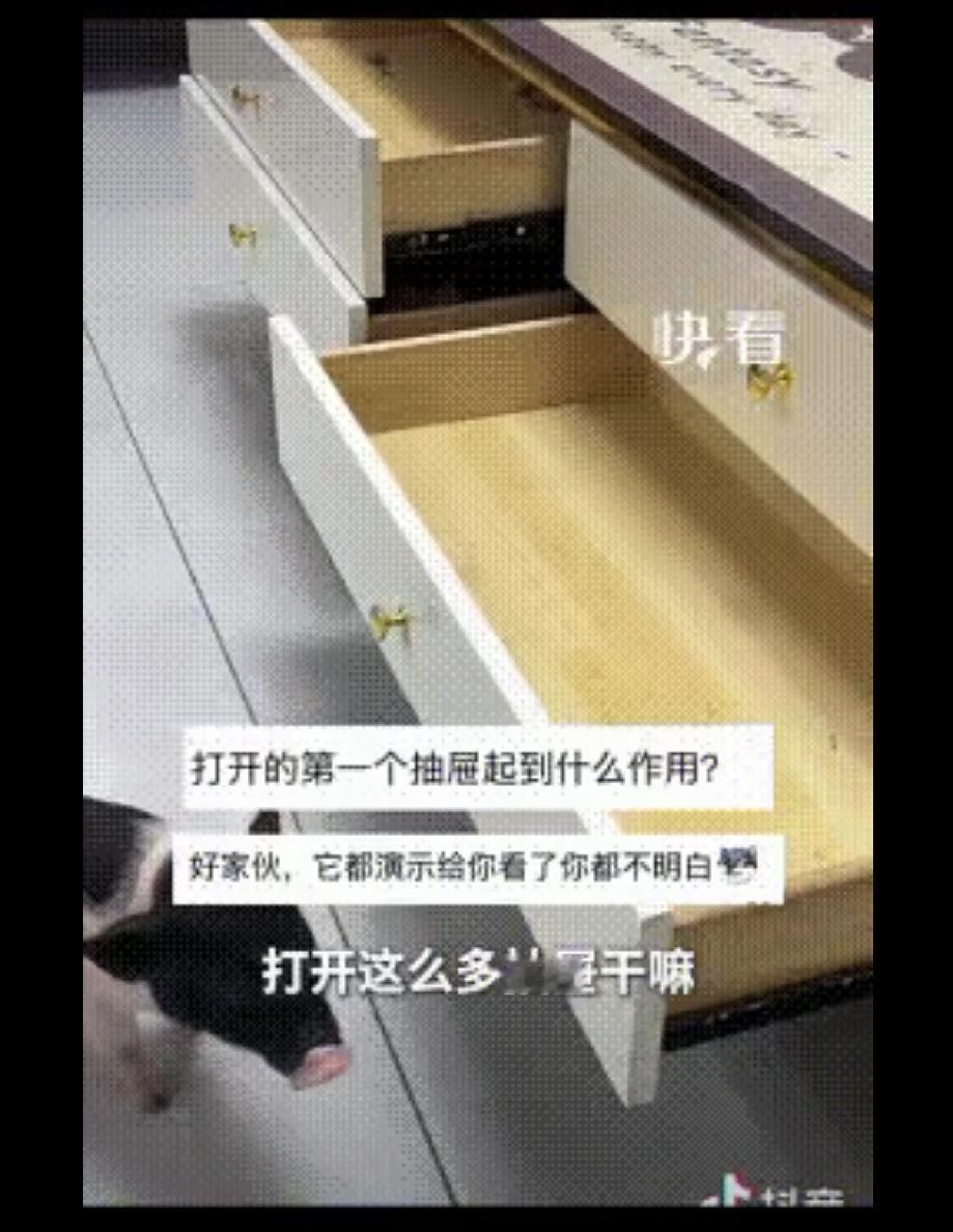 男子养了一只小猪，出门前在桌子上放了一盘饼干，没想到回来后饼干没了，怀疑是小猪吃