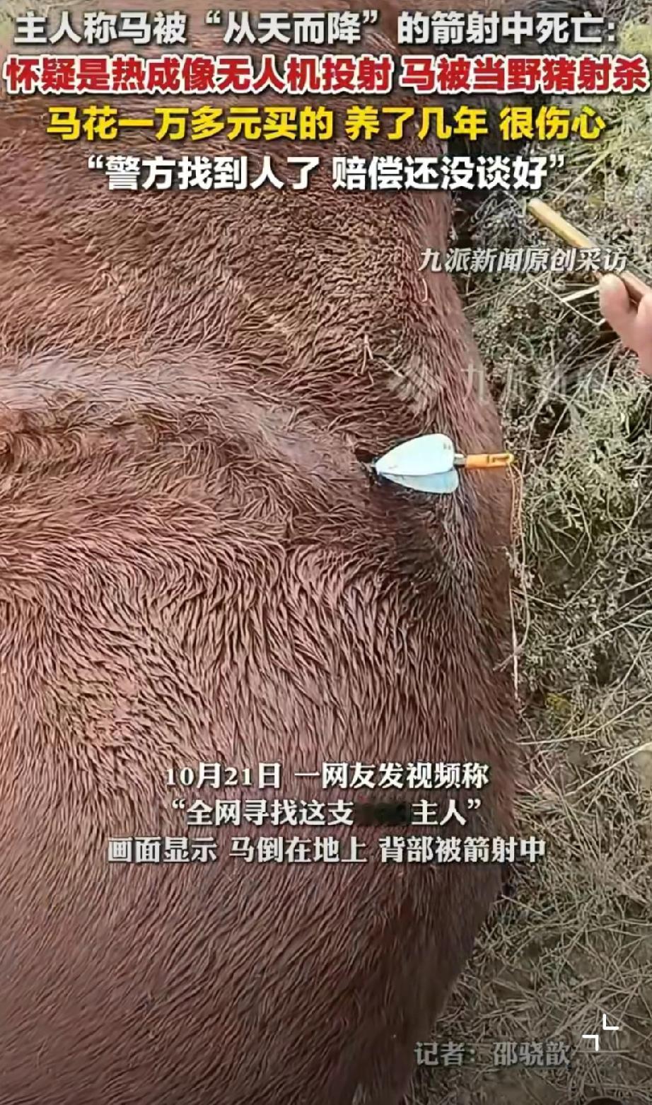 无人机热成像射杀动物如果误伤到人了怎么办?🌚现在有很多人野外徒步、露营