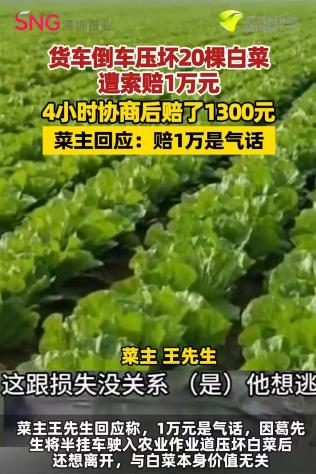 辽宁，一货车司机倒车时，不小心压坏农户20多棵白菜，对方开口就让他赔5000。司