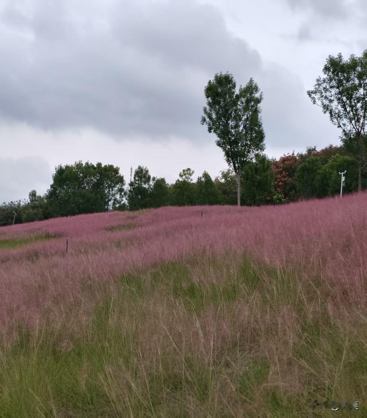 我这样胆小慢热的人，需要别人千百次的主动和回应才愿意相信那才是真的，其实人生的