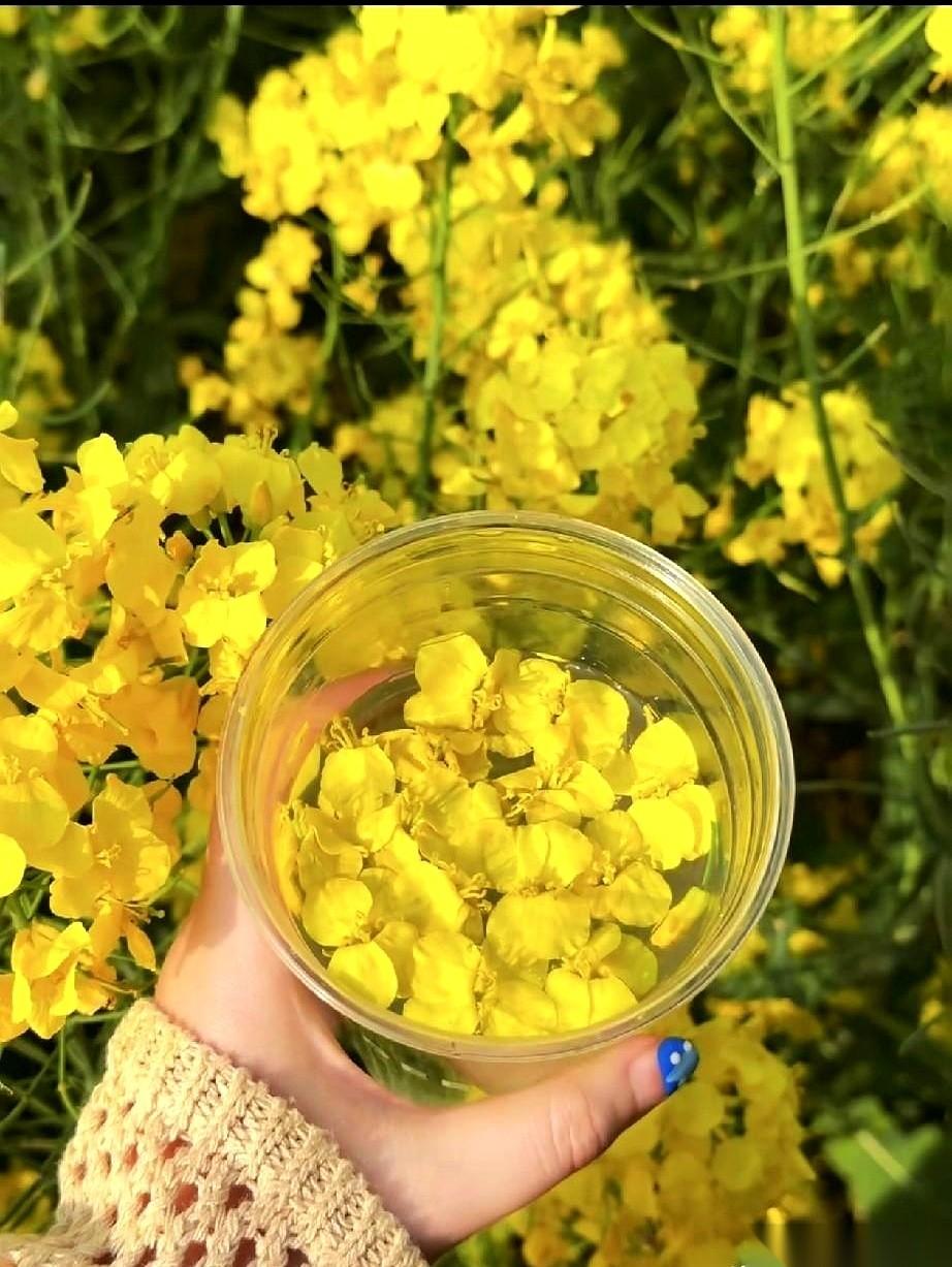 刷到一个说法，突然给我看愣了。它说，人这辈子，死亡的概率是百分之百，板上钉钉。