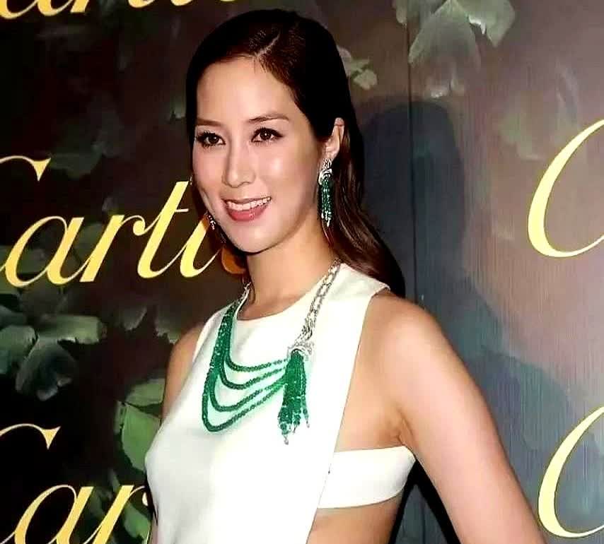 徐子淇这次真的输了不是她不美也不是她年纪大了而是因为豪