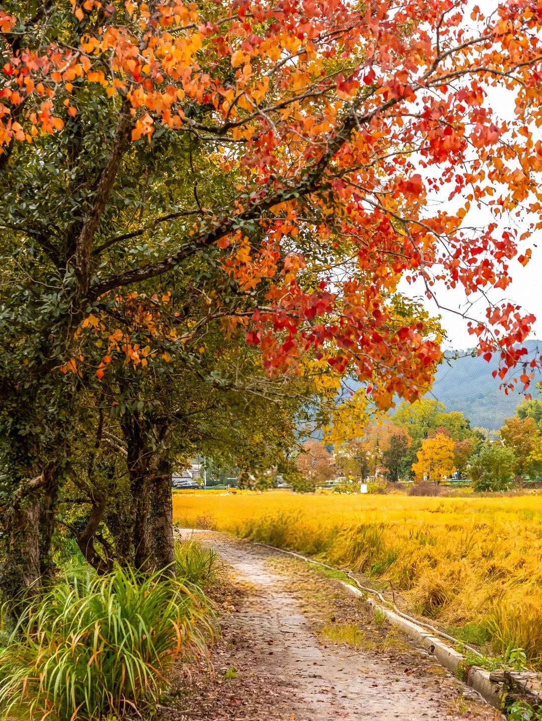我不知道大家能不能看得出来，反正我是能够看得出来的。聪明的孩子和不聪明的孩子，比
