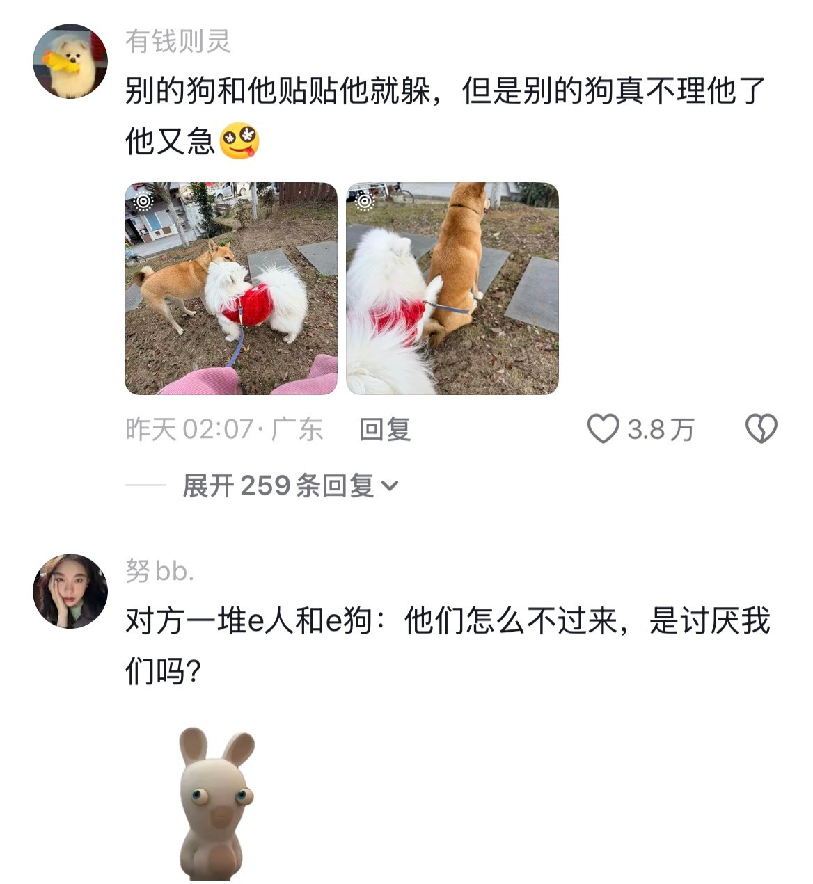 《当你和你的狗子社交履历都一片空白时》