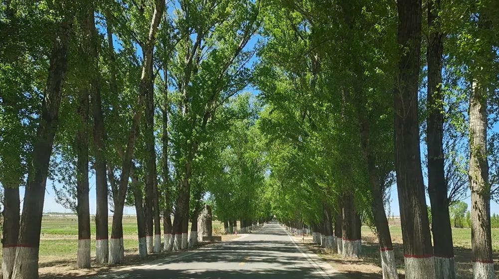 一家三口出去旅游七天，大概花了7000元。住宿花了1500元，吃饭1500元，