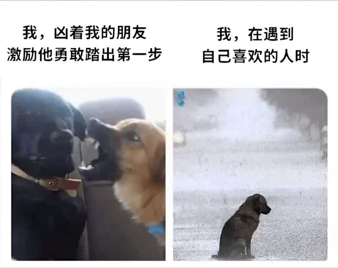 军师从不亲自上战场，一谈就是恋爱脑memes​​​