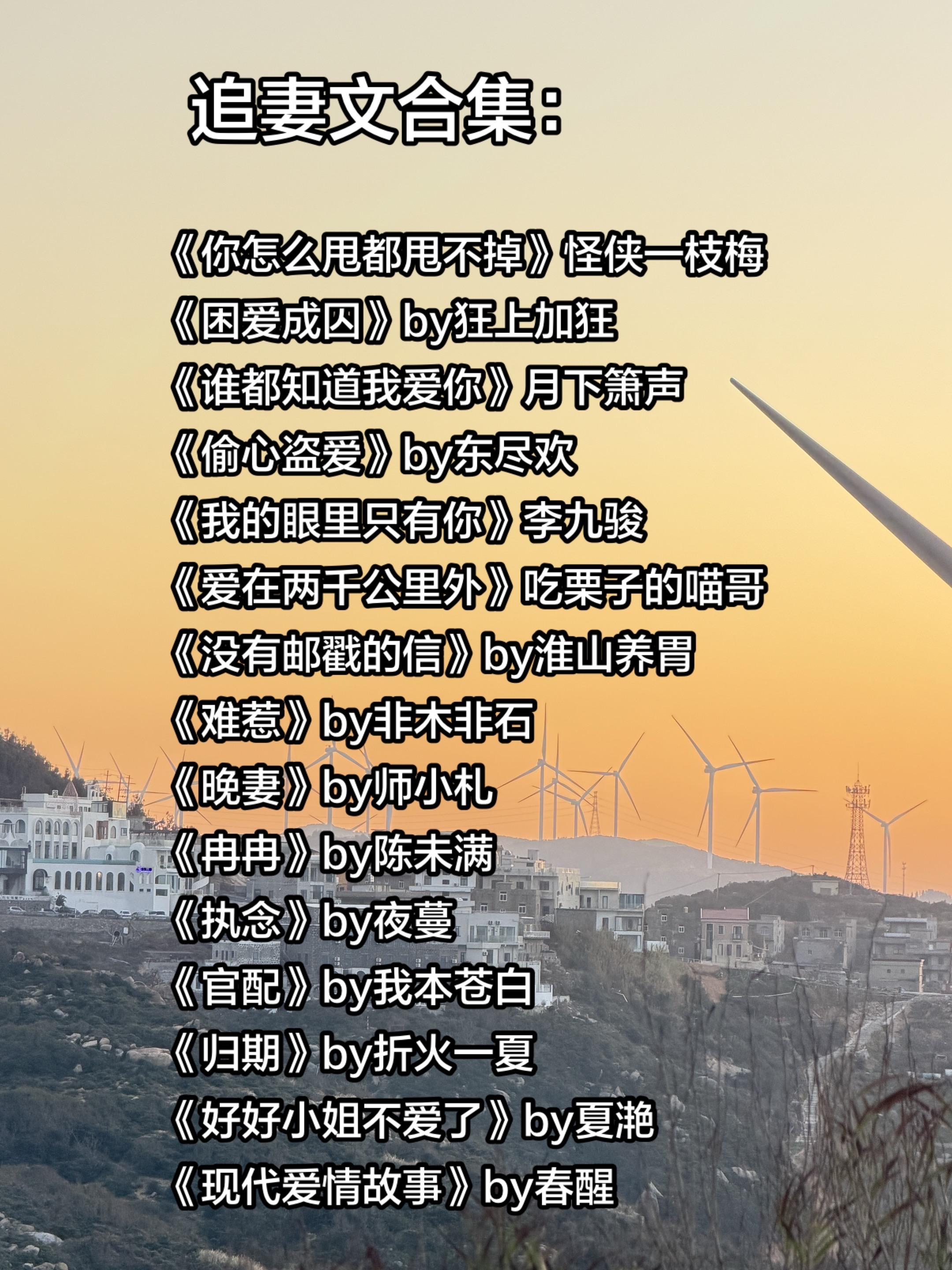 追妻文合集