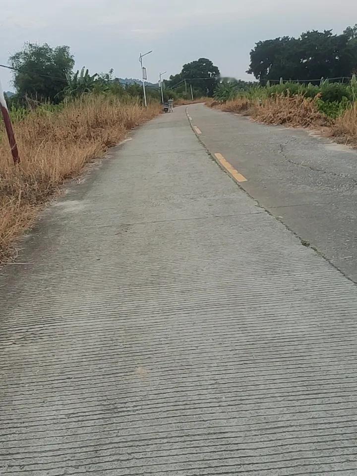 分享一个我常走的小路，就是青岛老城区的福山支路。避开大学路和黄县路的人流，拐进