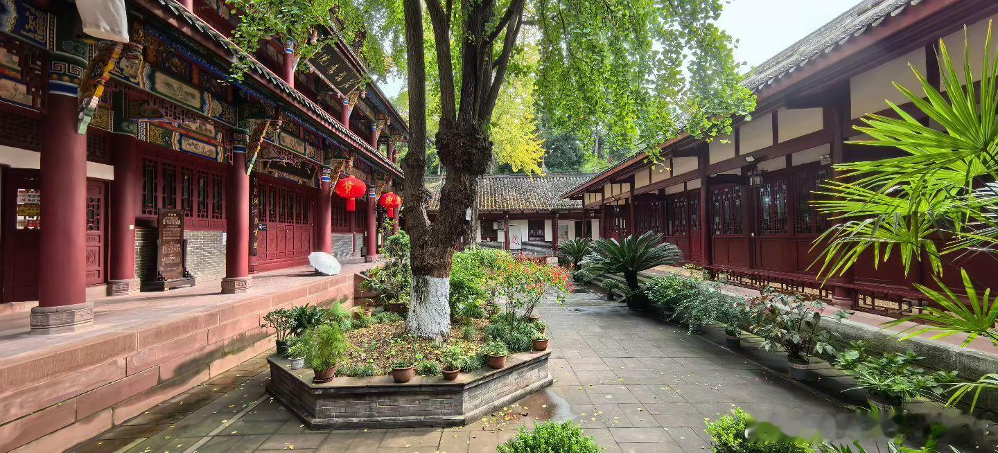 成都青羊宫｜在千年道观寻一份内心宁静🍃中国本土道教的川西地标，红墙映竹影，