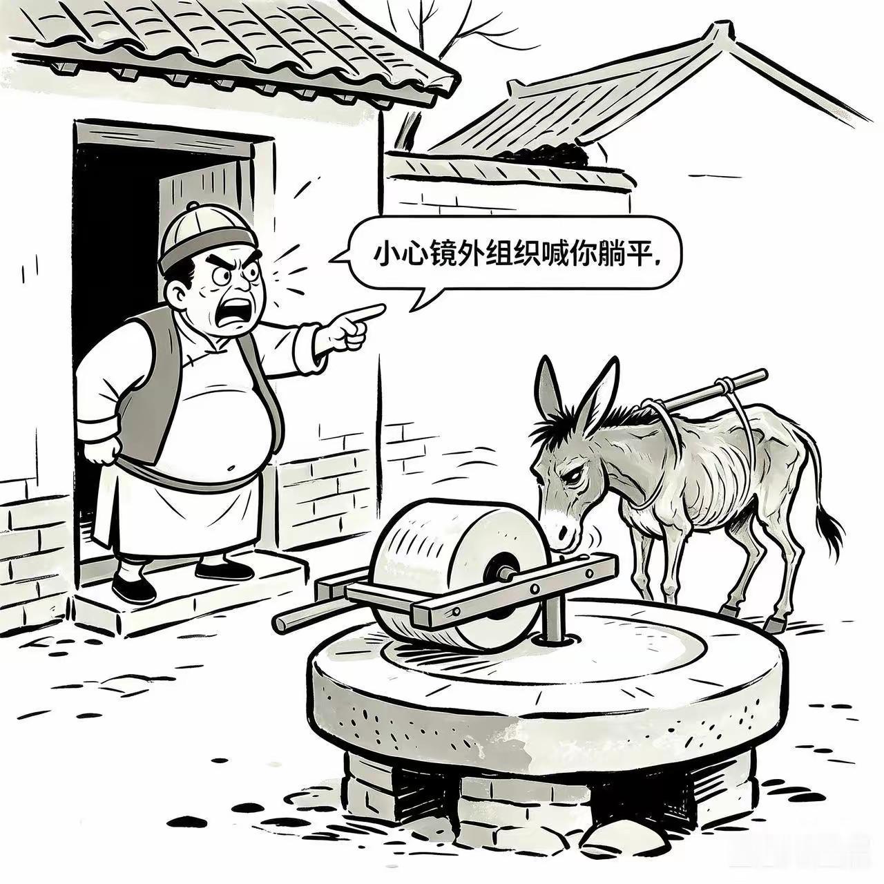 谁知道这个神秘的组织到底是干什么的？一有问题和矛盾时，马