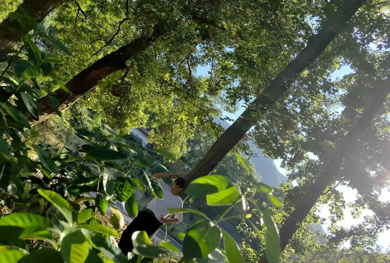 今日出伏，出福。是好运呀！因为初伏逢双，幸福翻倍。明天就正式出伏日！这不是