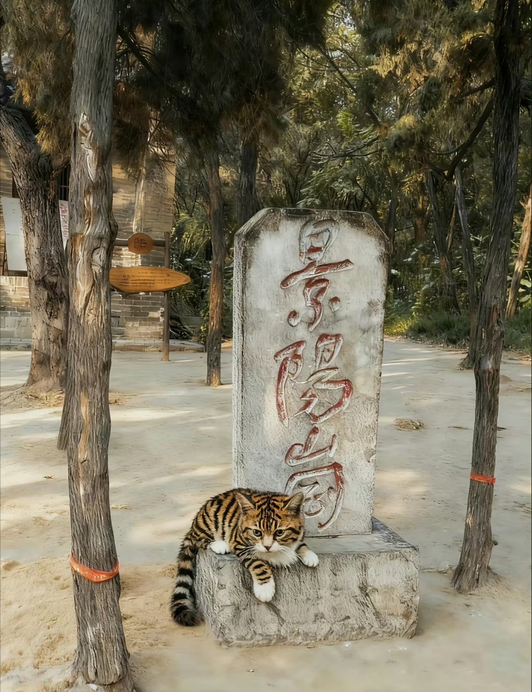 真有不怕死的[吐舌头眯眼睛笑][吐舌头眯眼睛笑][吐舌头眯眼睛笑]​​​