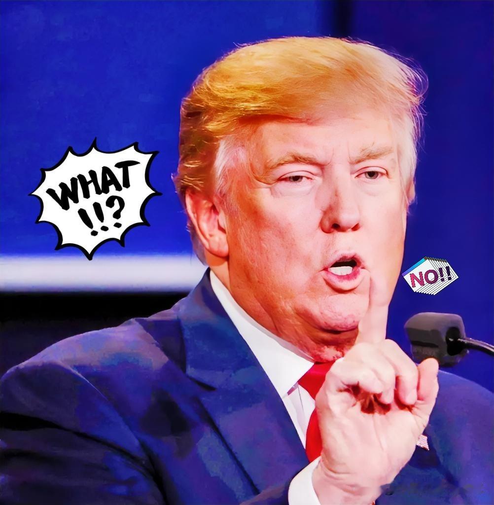 刚刚得知特朗普把南非踢出G20？当地时间26号，特朗普突然发推说，2026