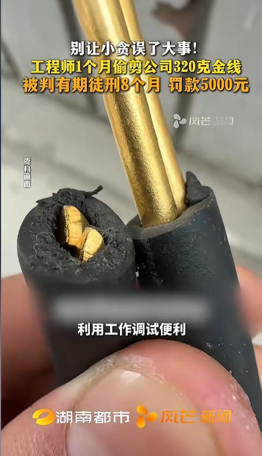 为贪小便宜毁了大好前程！厦门一工程师利用职务便利，在设备调试期间私剪纯金导线，通