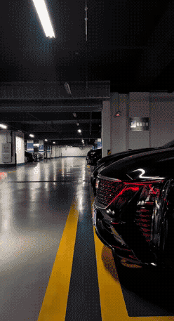 见到真正的九尾狐了！