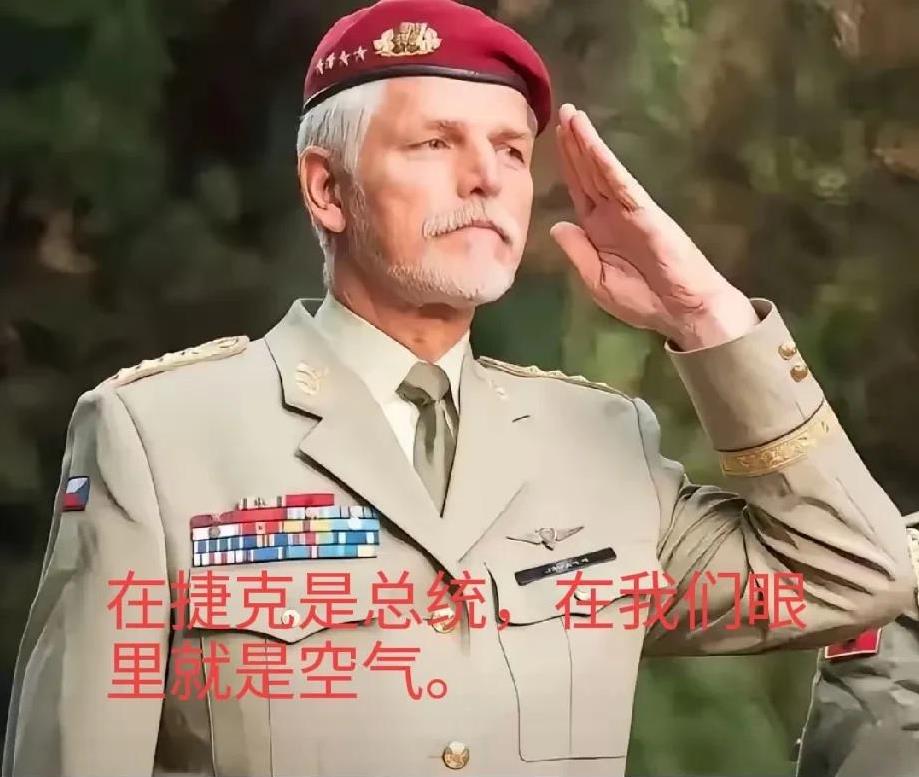 什么制裁不制裁，羞辱最重要，中国已经明确对捷克总统帕威尓的制裁，不接触。意思说白