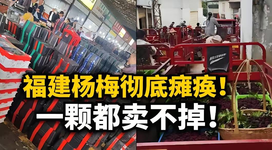 福建杨梅卖不出去了，当地果农无辜吗？只怕不是简单的说无辜吧，这种大规模的用药不