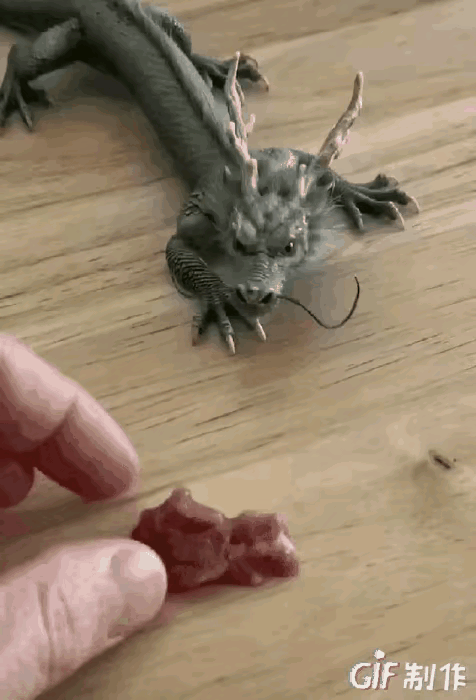 据说，2026年，这是个宠物发展方向。你不会养一个嘛？[笑着哭]