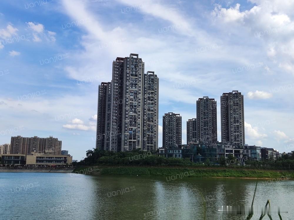 星汇金沙花园，从340万跌到174万，金沙洲标杆次新盘也扛不住了有读者对金沙