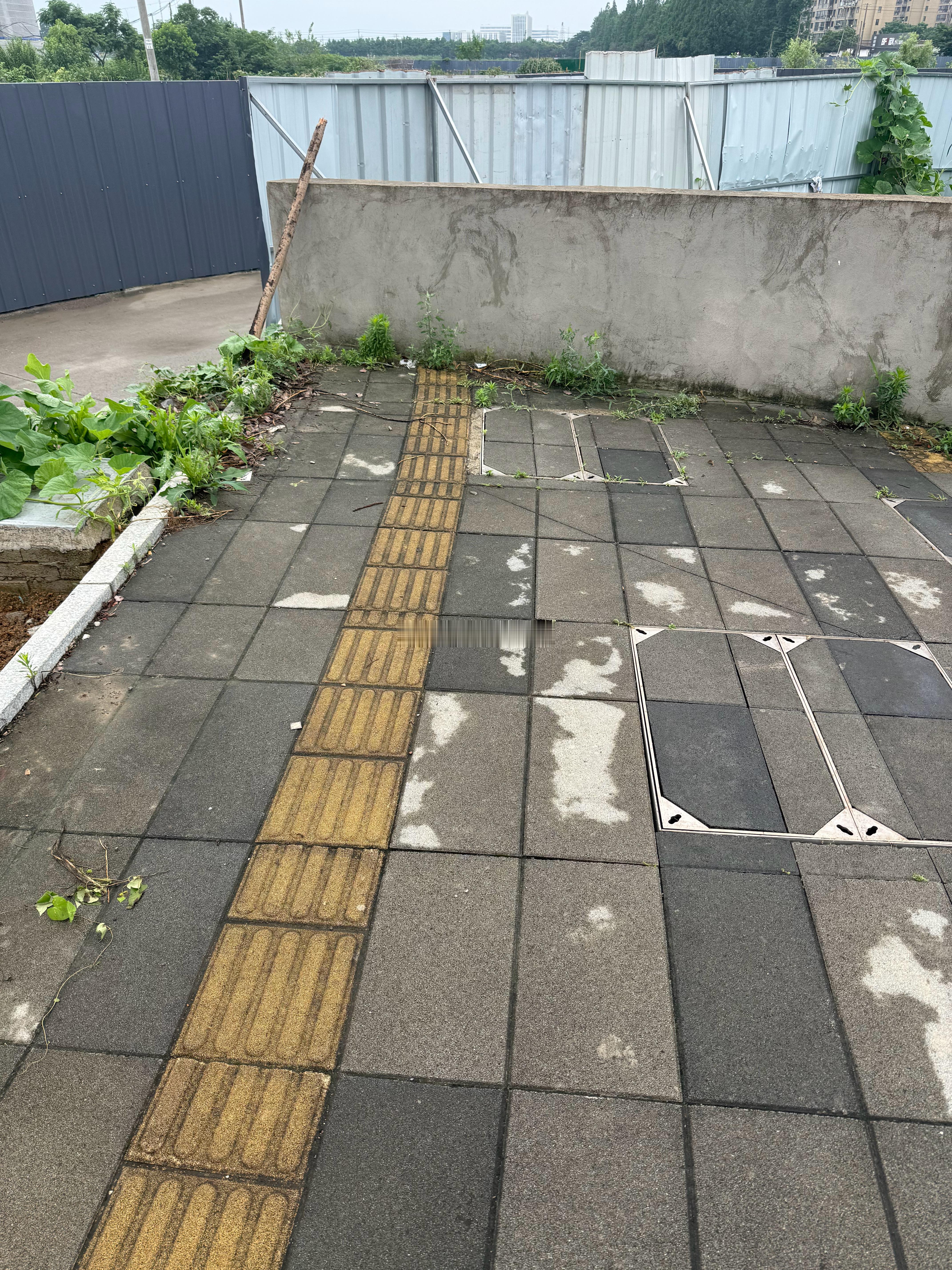 盲道一定要这样设计吗？？？