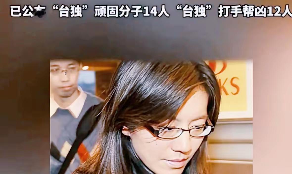 看着蔡正元翻案这事，我不禁哑然失笑。当初陈舒怡把人往死里整的时候，怕是做梦也没