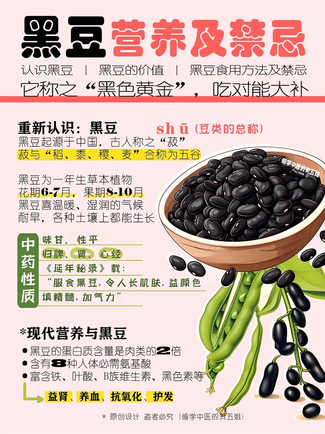 黑豆该怎么吃❓吃错伤身‼️ 吃对黑豆能大补✅