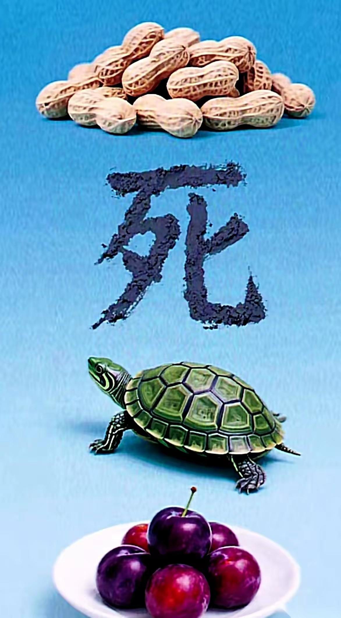 此成语图位置错乱所以难住了不少猜谜爱好者和高手有花生下酒有死字相随有乌龟