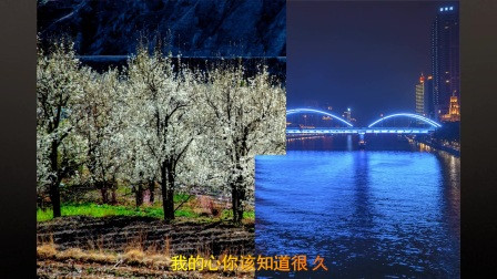 叫你一声mylove简谱_叫你一声My Love 小虎队(3)