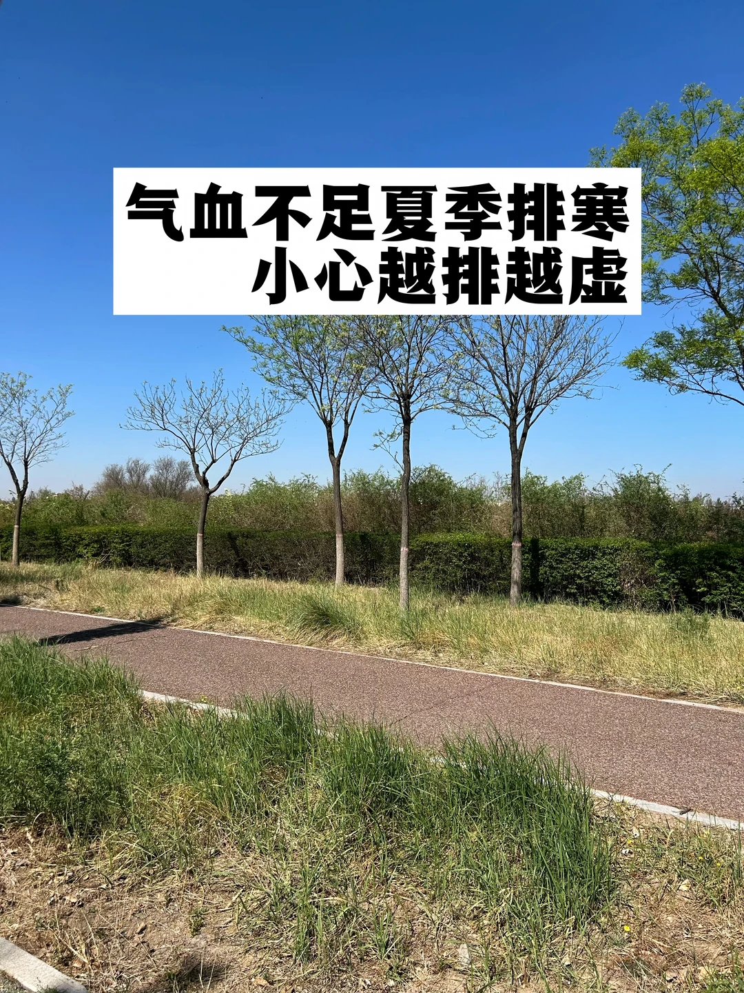 气血不足的人，寒最忌讳排，更需要养！
