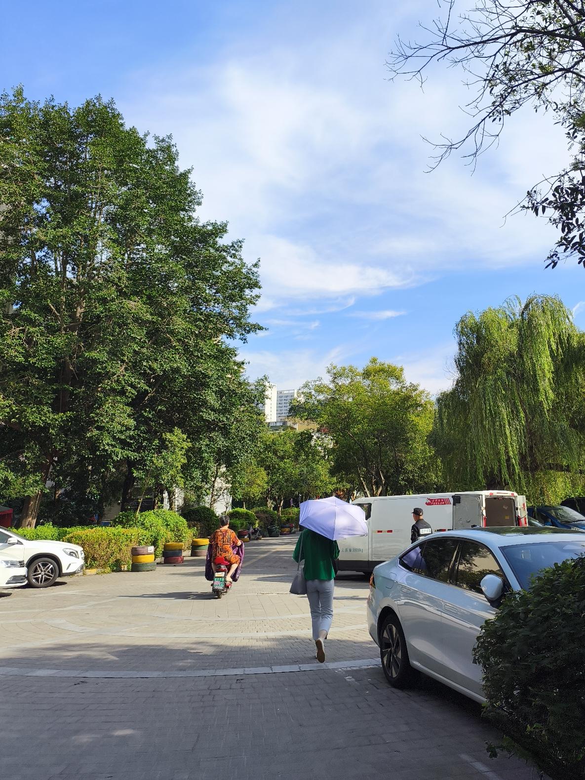 南京这场中雨来得太妙啦！之前江苏天气像坐过山车，直冲35℃后猛降10℃+，四月的