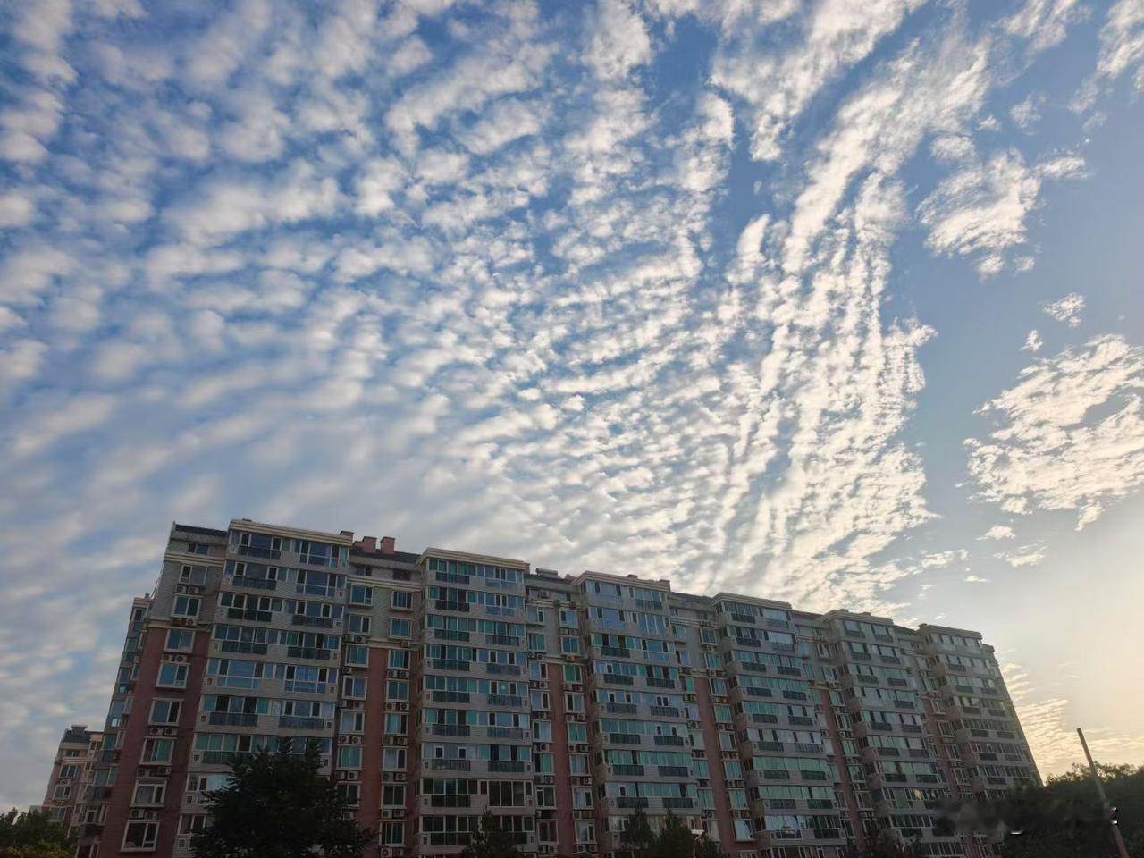a股市场有一个规律，每年的下半年，都会出现妖股，牛股，类似于前几年常山某明，深圳