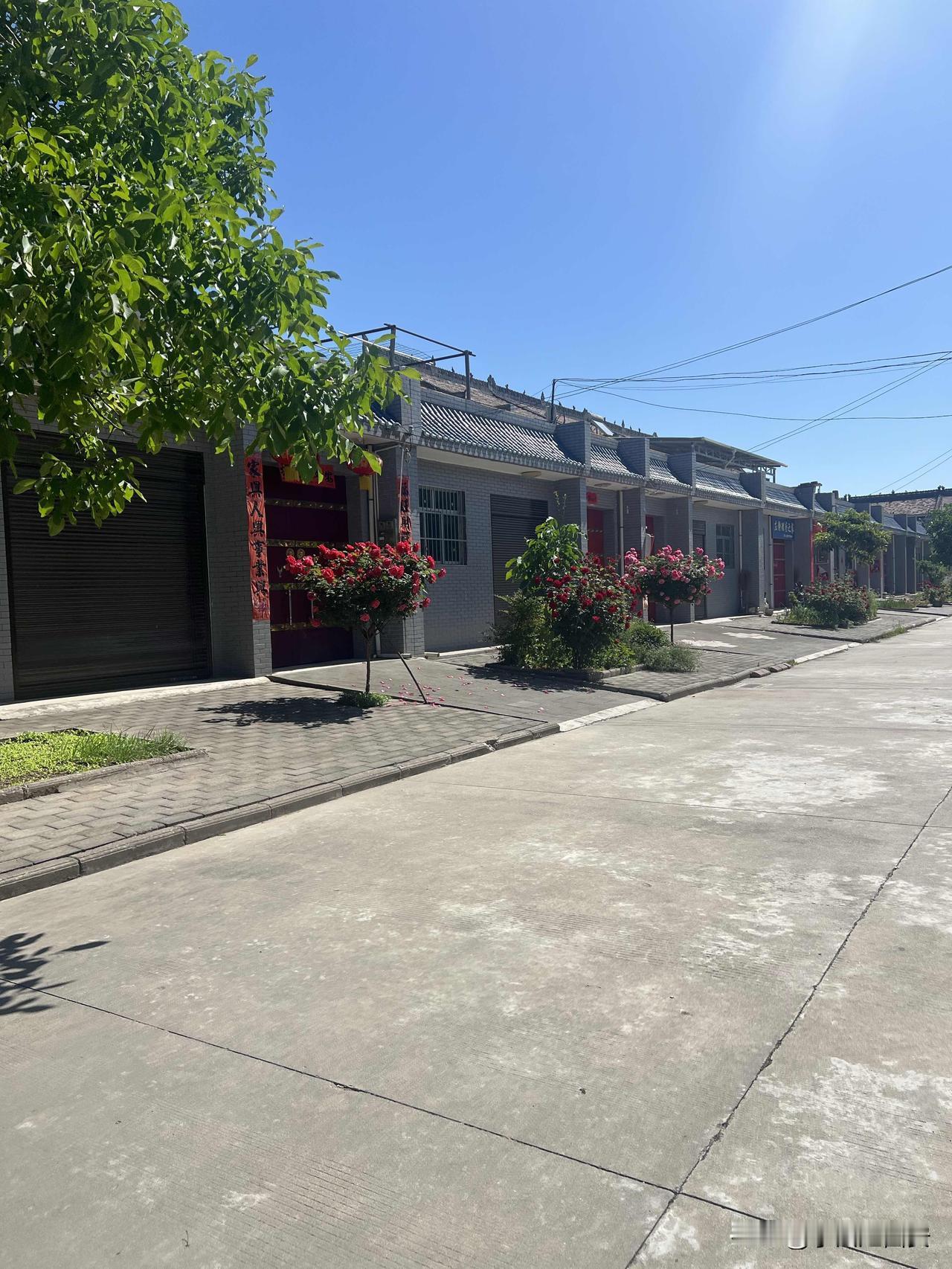 这就是如今的陕西关中西府农村现状5月4日长假第四天村里的人基本上已经走光