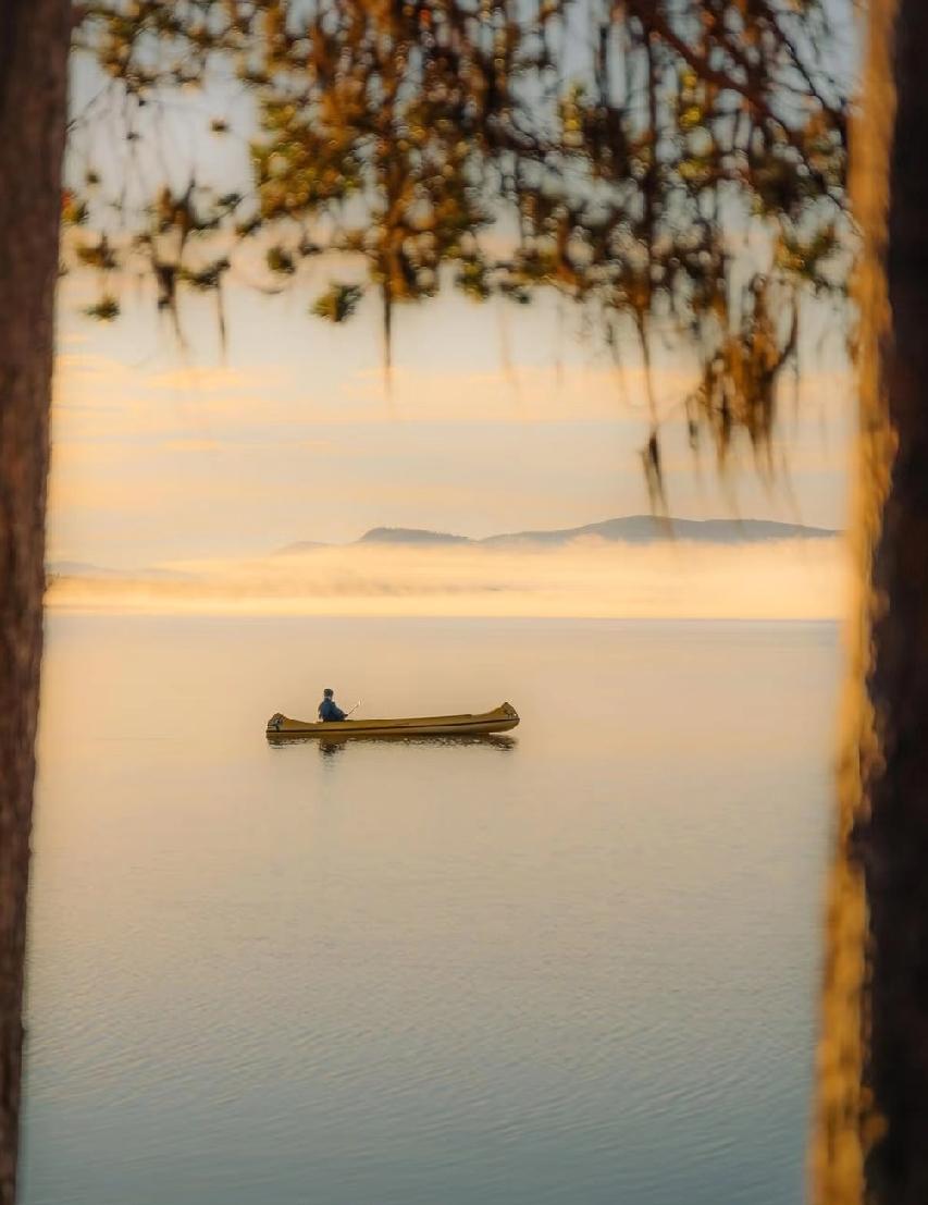 巴菲特说：“这个世界上最厉害的不是金钱，不是权力，而是一种思维方式。掌握逆