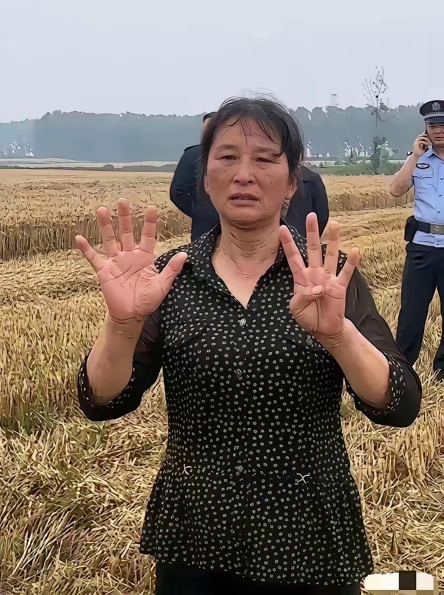 襄阳那位“割四赔五”的大妈，终于低头了河南一对年轻夫妻，丢下家里四个月大的孩