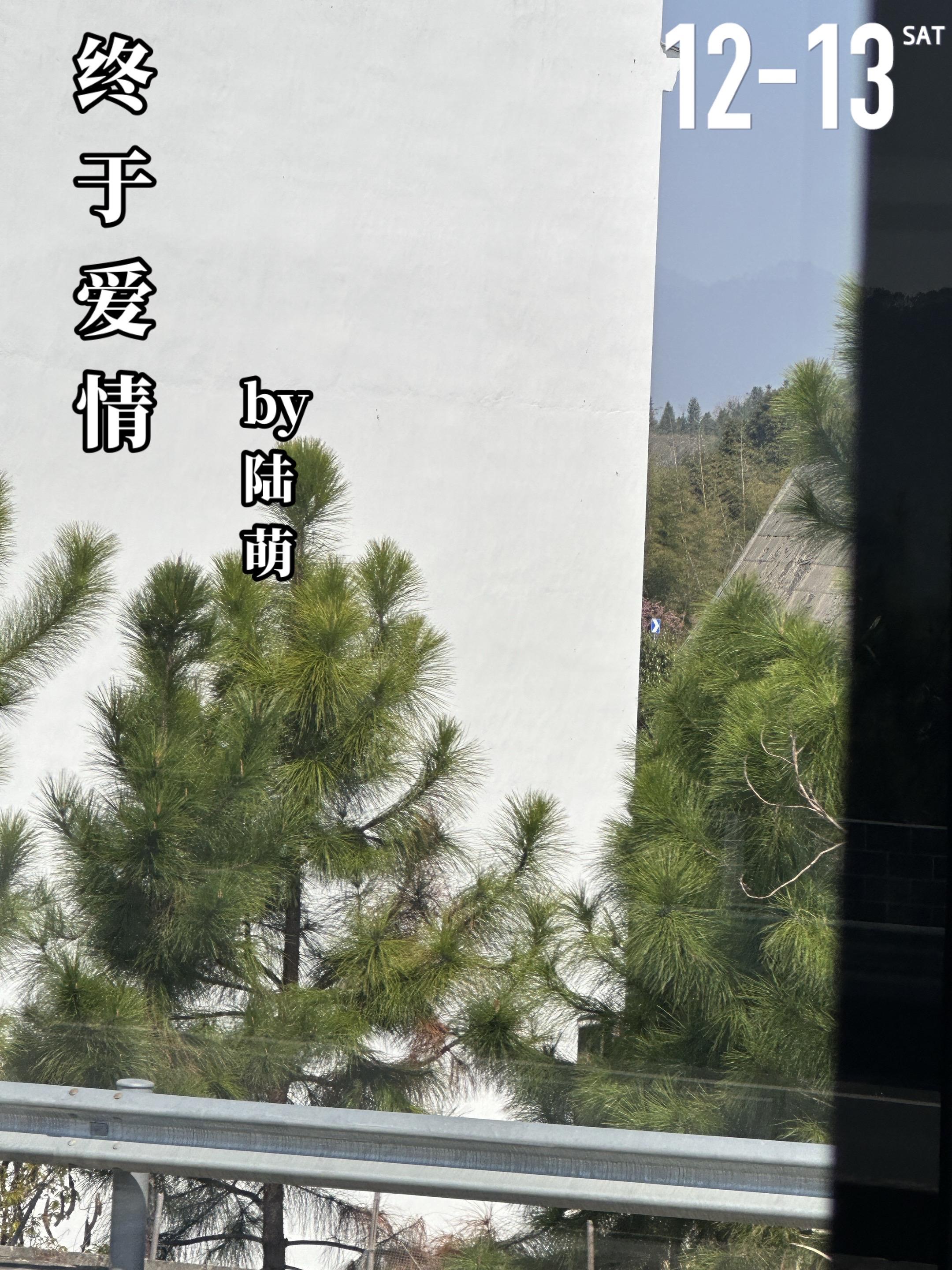 《终于爱情》by陆萌。曾雨（女主）十二岁时，跟随母亲再婚进入韩家，韩家...