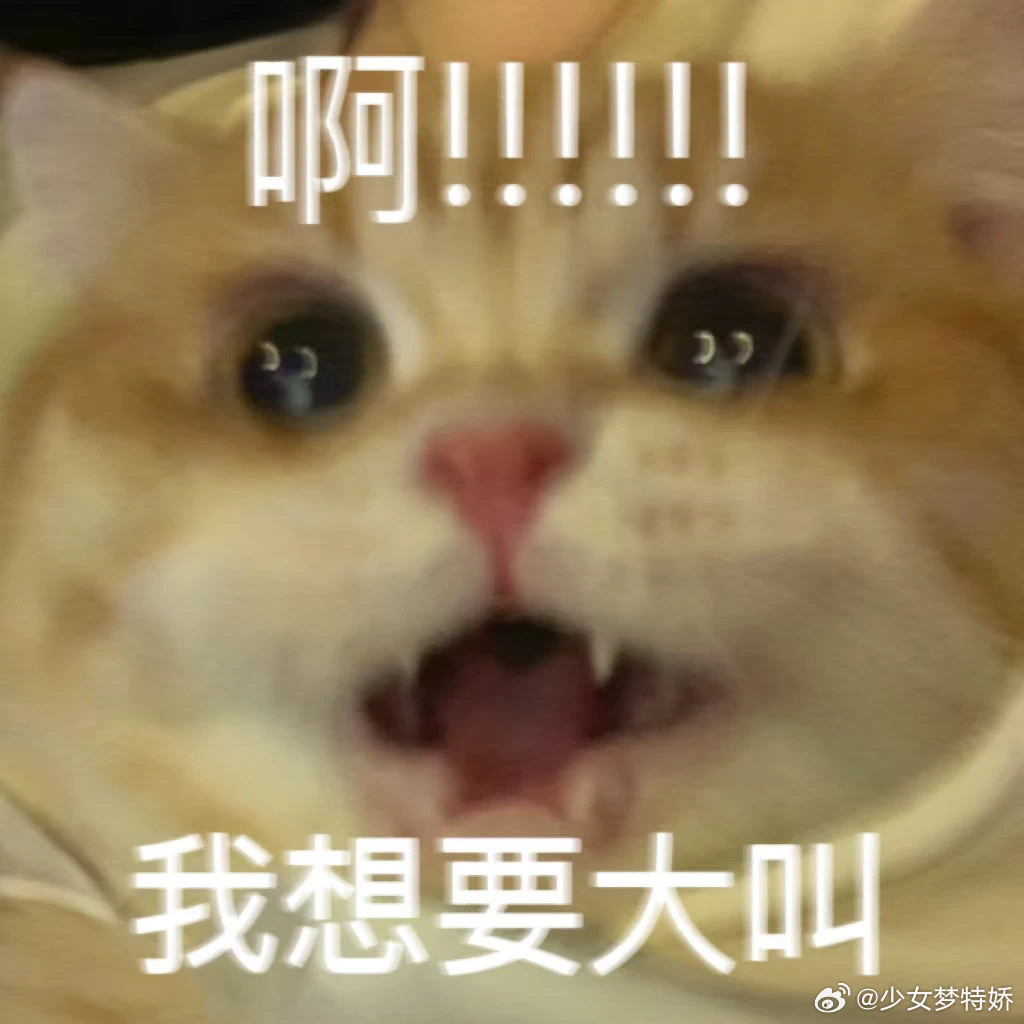 小猫嫌弃自己脚臭猫：这啥味道啊！？怎么有点熏眼睛啊！？