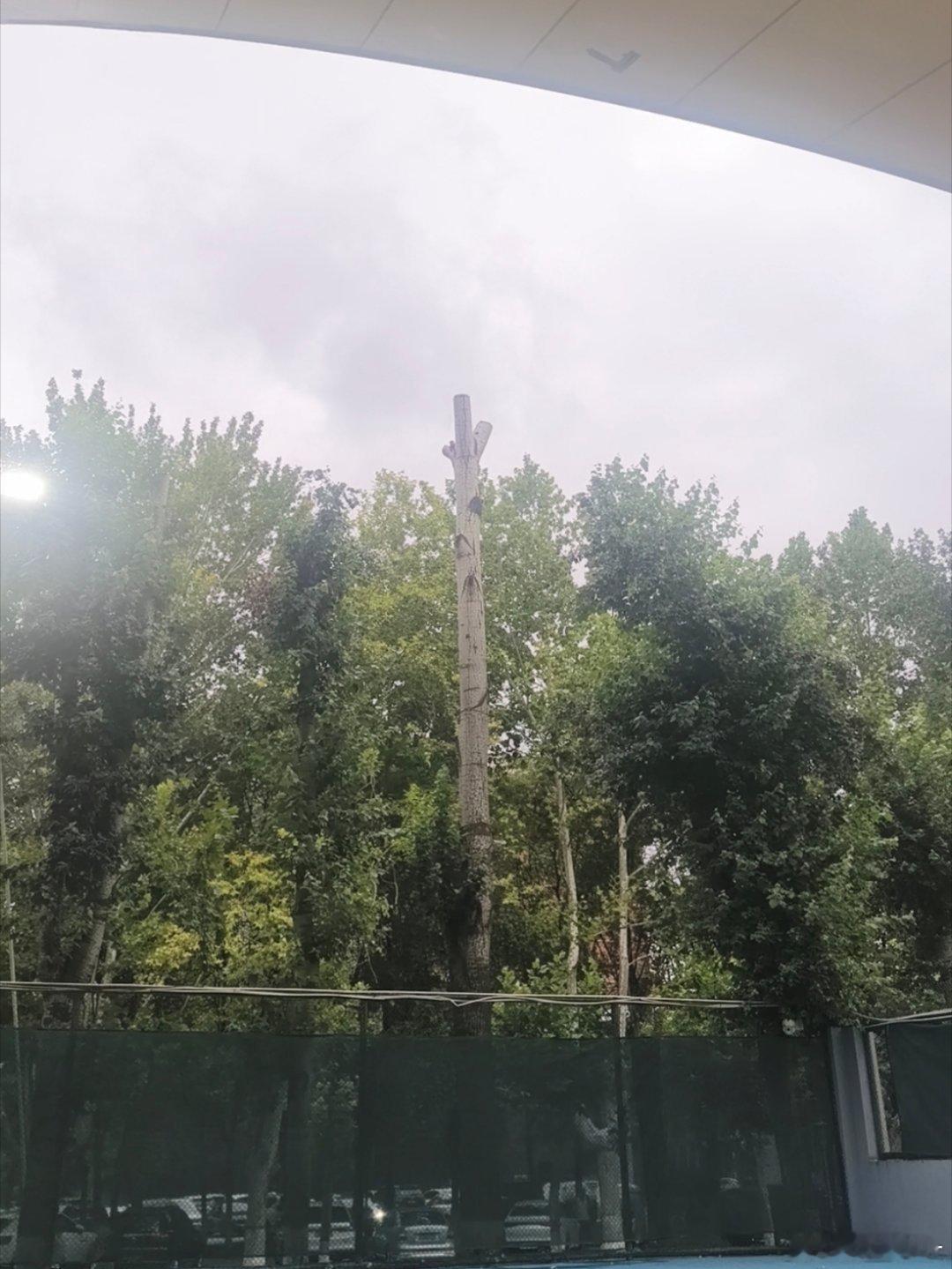 网球一点儿也不减肥打了5个小时，然后来吃铜锅涮肉西安·三巷涮肉（原意如意）(老