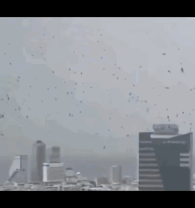 在以色列特拉维夫上空和街头出现了大量乌鸦，遮天蔽日。很多外国人认为这是“末