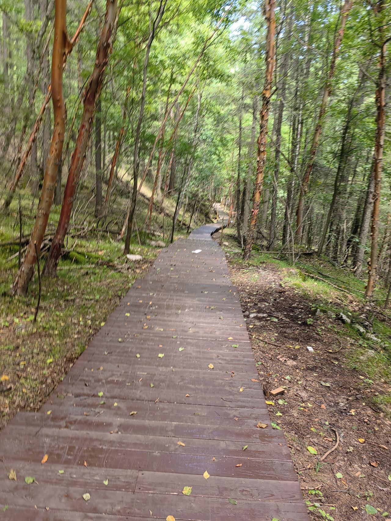分享一张你的旅行风景照片