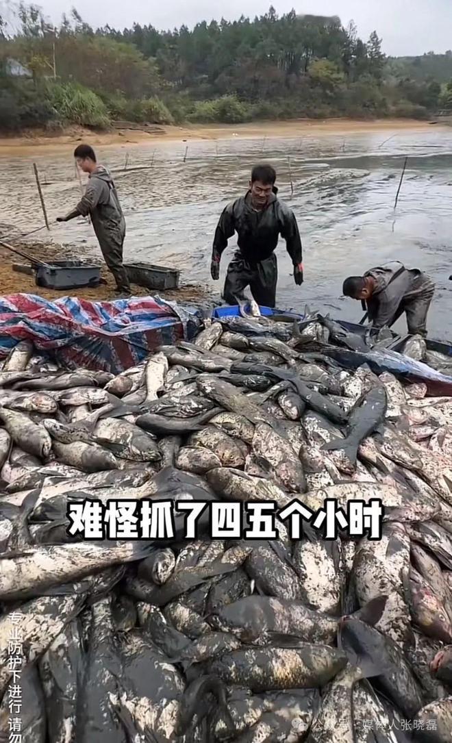 “看哭了！”，5080元包下17亩鱼塘，这看似普通的交易背后，藏着一位大学生的艰