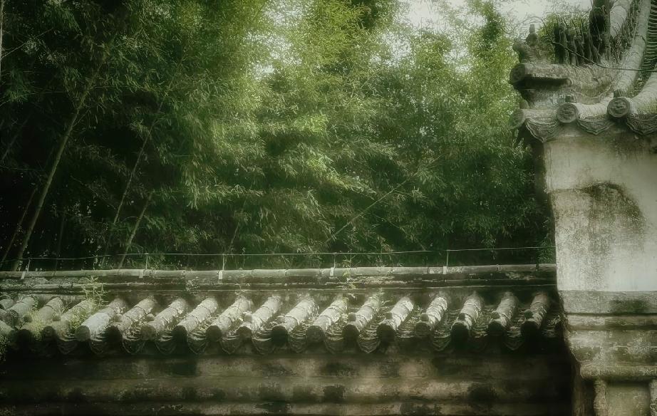 你为什么挣不到钱？你不够‘闲’，经济学家郎咸平说，财如水，有空，才能聚。发财的