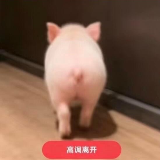 张极嫂子昨天送了张极一个唱歌难听的热搜，今天送了张极一个嫂子热搜，张极一年就没几