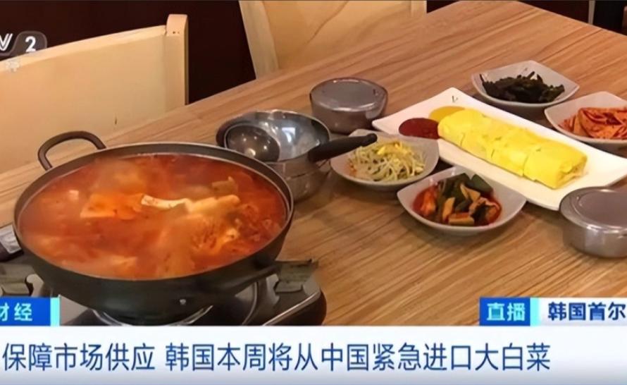 “中国要被我们拖垮了！”2024年，韩国上千人拒绝吃从中国进口的中国白菜，本想