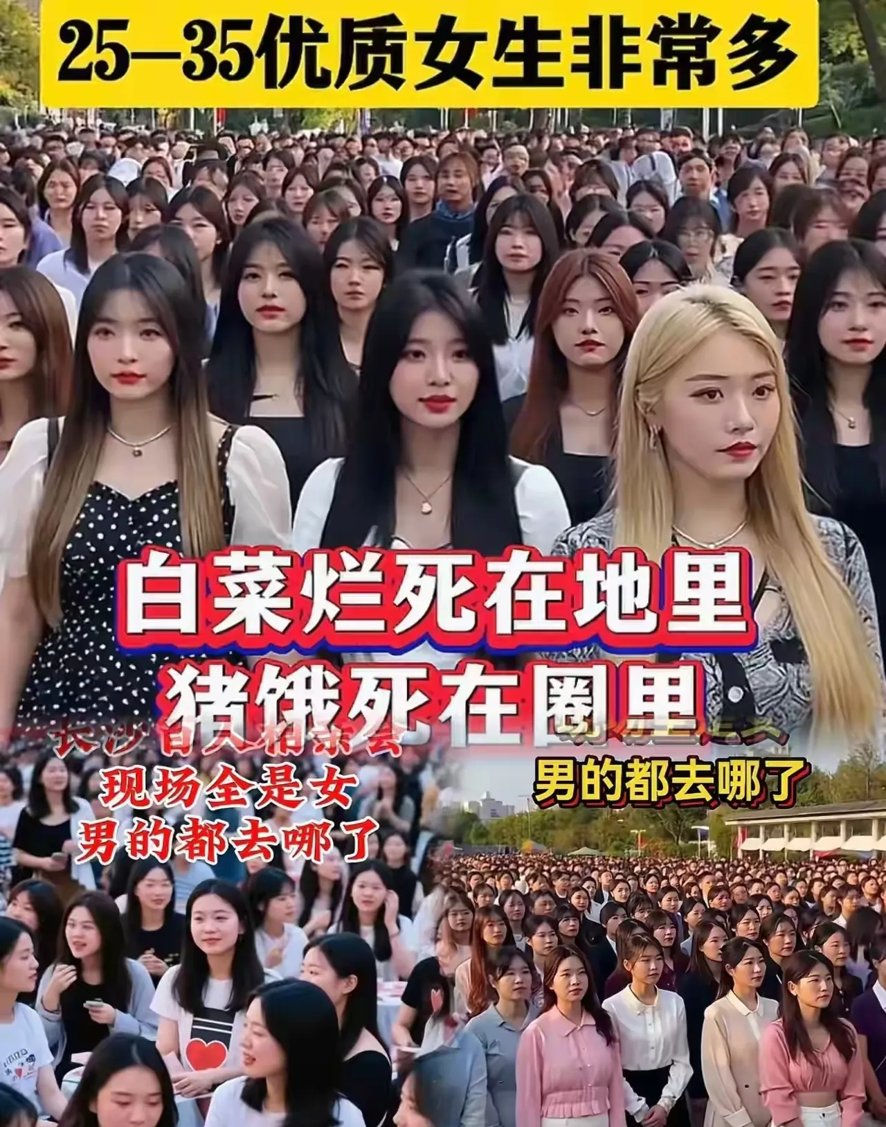 现在的男人越来越清醒了、看到很多相亲大会似乎男人的兴致都不高了、要么就根本就没有