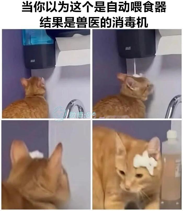 当心眼睛（9gag）哎呀​​​