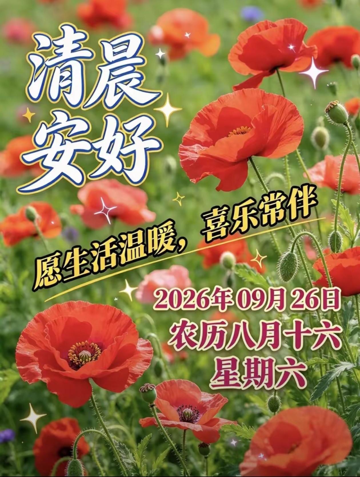 2026./9月26日，秋日安泰，福气相伴，万事顺遂🍁🌅秋揽