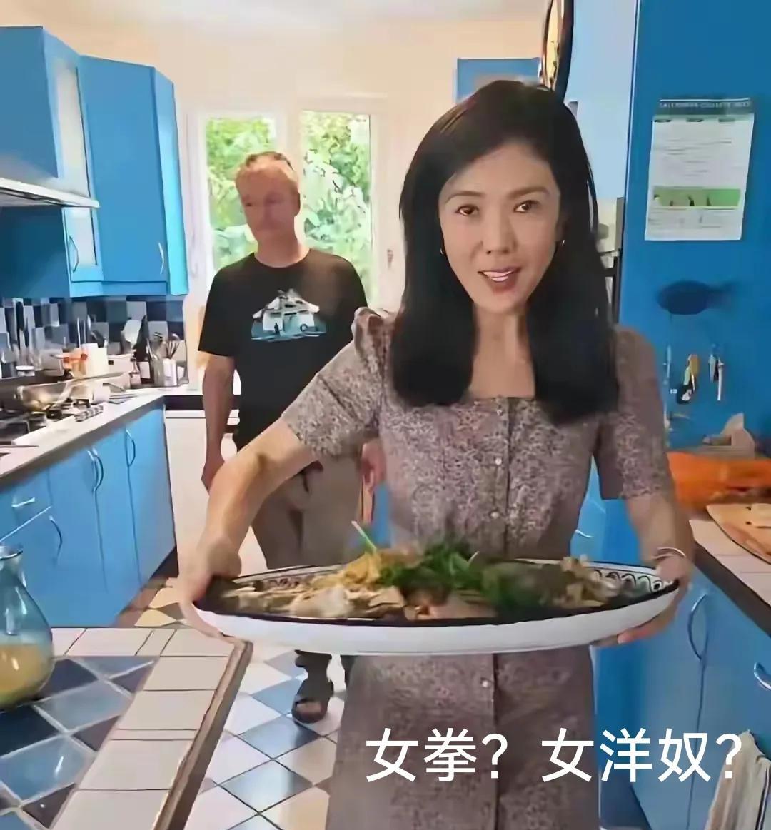 一个国内女拳，去了国外，女保姆？国内的女拳对做家务认为是当保姆，痛恨女人不独立