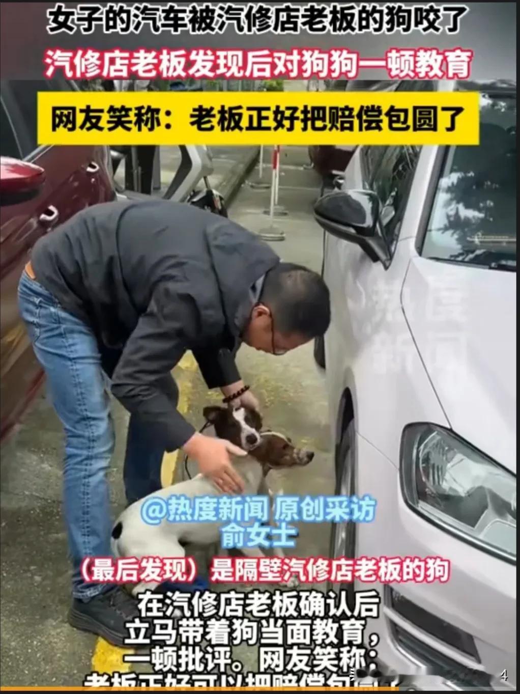 太搞笑了！江苏溧阳，俞女士接到邻居电话，说是自己车子被两狗咬了，挺严重的。俞女士